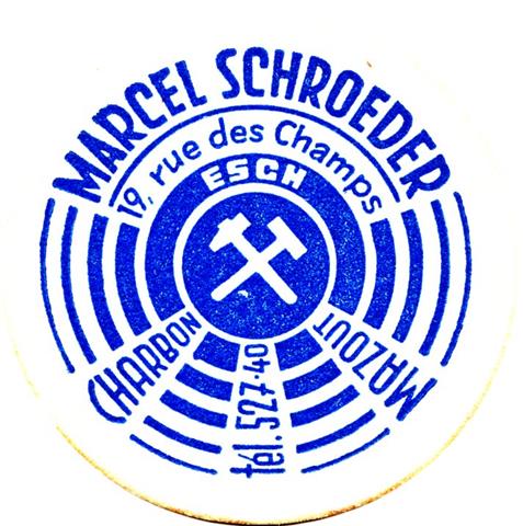 esch l-l palgen 4b (rund180-marcel schroeder-blau)